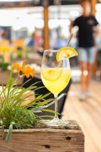 Noordduine | Socials-15